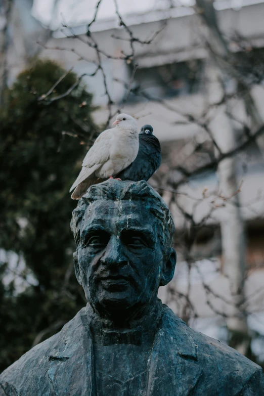 a statue of a man with a bird on his head, a statue, by Niko Henrichon, pexels contest winner, dark grey haired man, male and female, basil gogos, pigeon