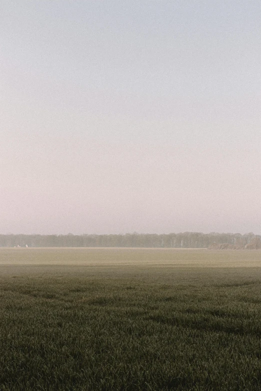 a man flying a kite on top of a lush green field, a picture, inspired by Andreas Gursky, nadav kander, early spring, 35mm —w 1920 —h 1080, ( ( misty atmosphere ) )
