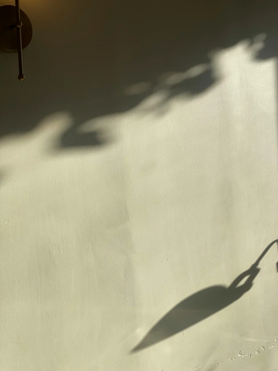 a man riding a skateboard down the side of a ramp, inspired by André Kertész, trending on pexels, light and space, large tree casting shadow, puppet on a string, indoor picture, minimalist photo