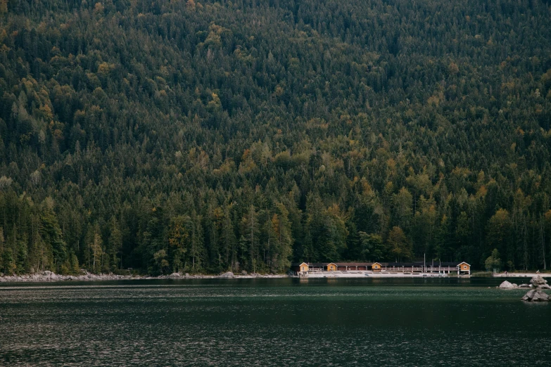 a large body of water next to a forest, inspired by Peter Zumthor, pexels contest winner, vancouver school, train station in summer, gold and teal color scheme, shot on hasselblad, view from the sea