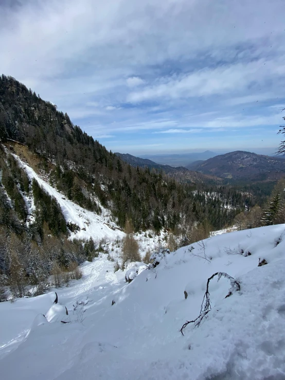 a man riding skis down a snow covered slope, overlooking a valley with trees, destroyed mountains, profile image, maintenance photo