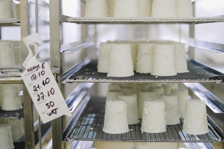 a display case filled with lots of white cakes, by Joe Bowler, unsplash, process art, made of cheese, silo, soft white rubber, farming