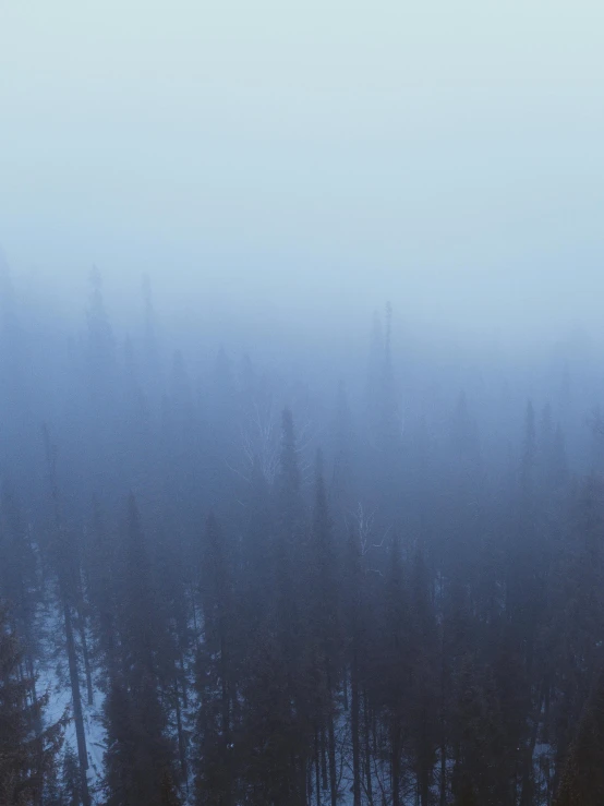 a person riding a snowboard down a snow covered slope, an album cover, unsplash, tonalism, ultra deep fog, ((forest)), lapland, over the tree tops