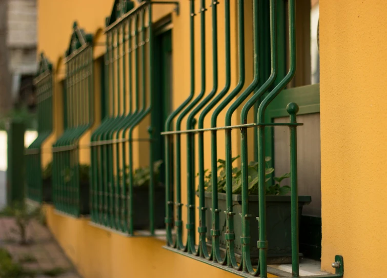 a red fire hydrant sitting in front of a yellow building, pexels contest winner, art nouveau, behind bars, dark green color scheme, in a row, steel window mullions