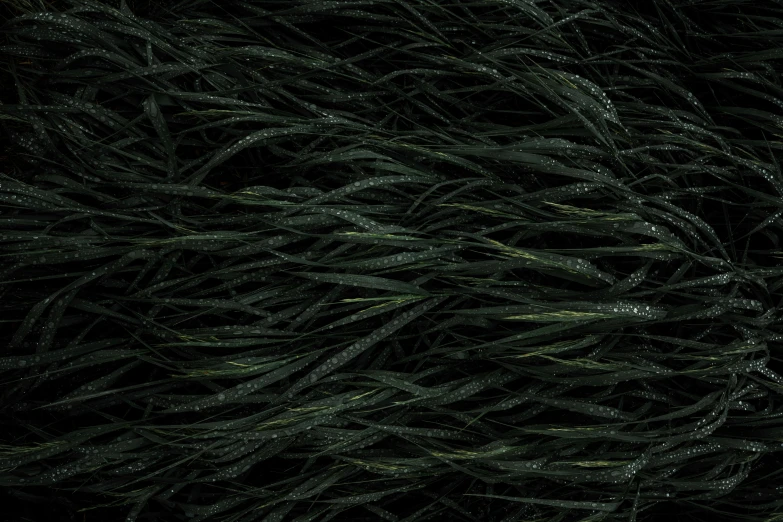 a red fire hydrant sitting on top of a lush green field, an album cover, inspired by Patrick Dougherty, sōsaku hanga, detail texture, wrapped in black tentacles, tokujin yoshioka, ( ( dark green