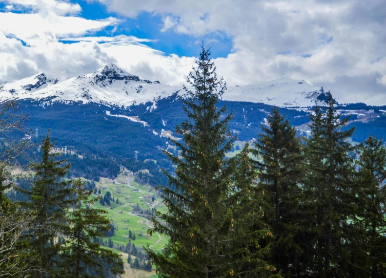 a man riding a snowboard down a snow covered slope, by Cedric Peyravernay, pexels contest winner, les nabis, trees in the grassy hills, panorama distant view, alps, flowers around