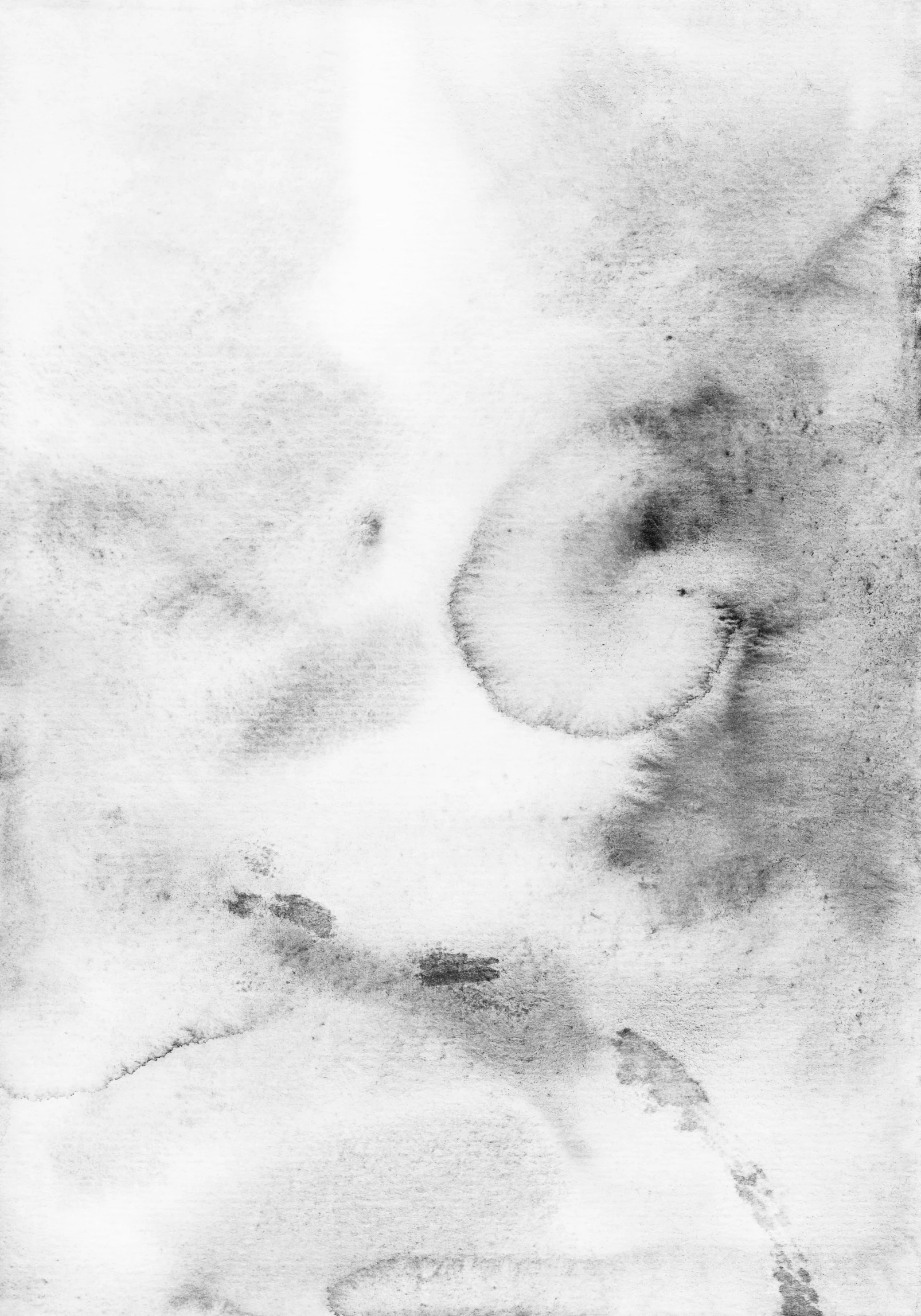 a black and white photo of a cat, an abstract drawing, inspired by Anna Füssli, lyrical abstraction, watercolor texture, spiral clouds, surface with beer-texture, dust clouds | homoerotic