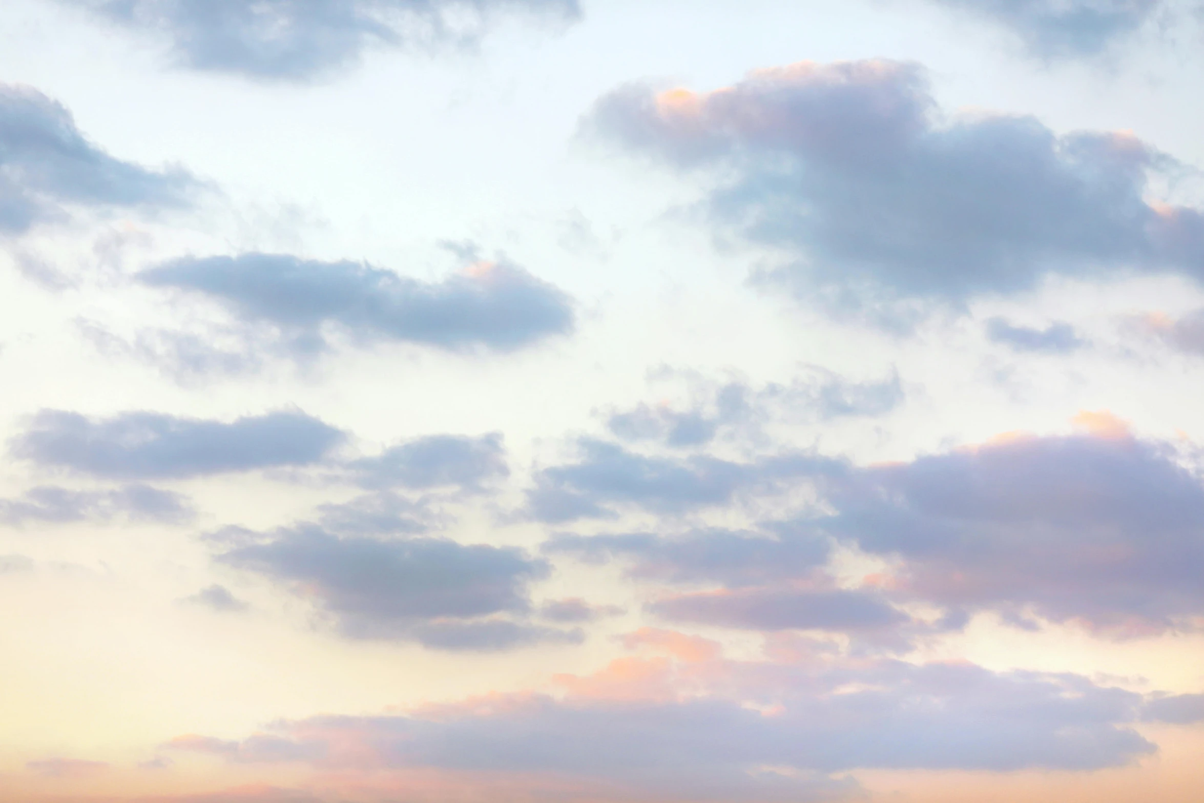 a herd of cattle standing on top of a lush green field, an album cover, unsplash, romanticism, pink clouds in the sky, layered stratocumulus clouds, sunset panorama, sky made of ceiling panels