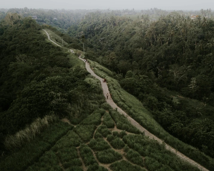 a group of people standing on top of a lush green hillside, pexels contest winner, sumatraism, large path, wide aerial shot, dark, a wooden