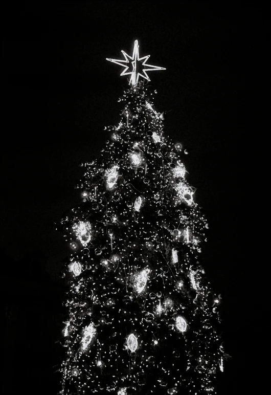 a black and white photo of a christmas tree, inspired by Rudolph F. Ingerle, pexels, light and space, glowing lights!! highly detailed, black background with stars, square, ornaments