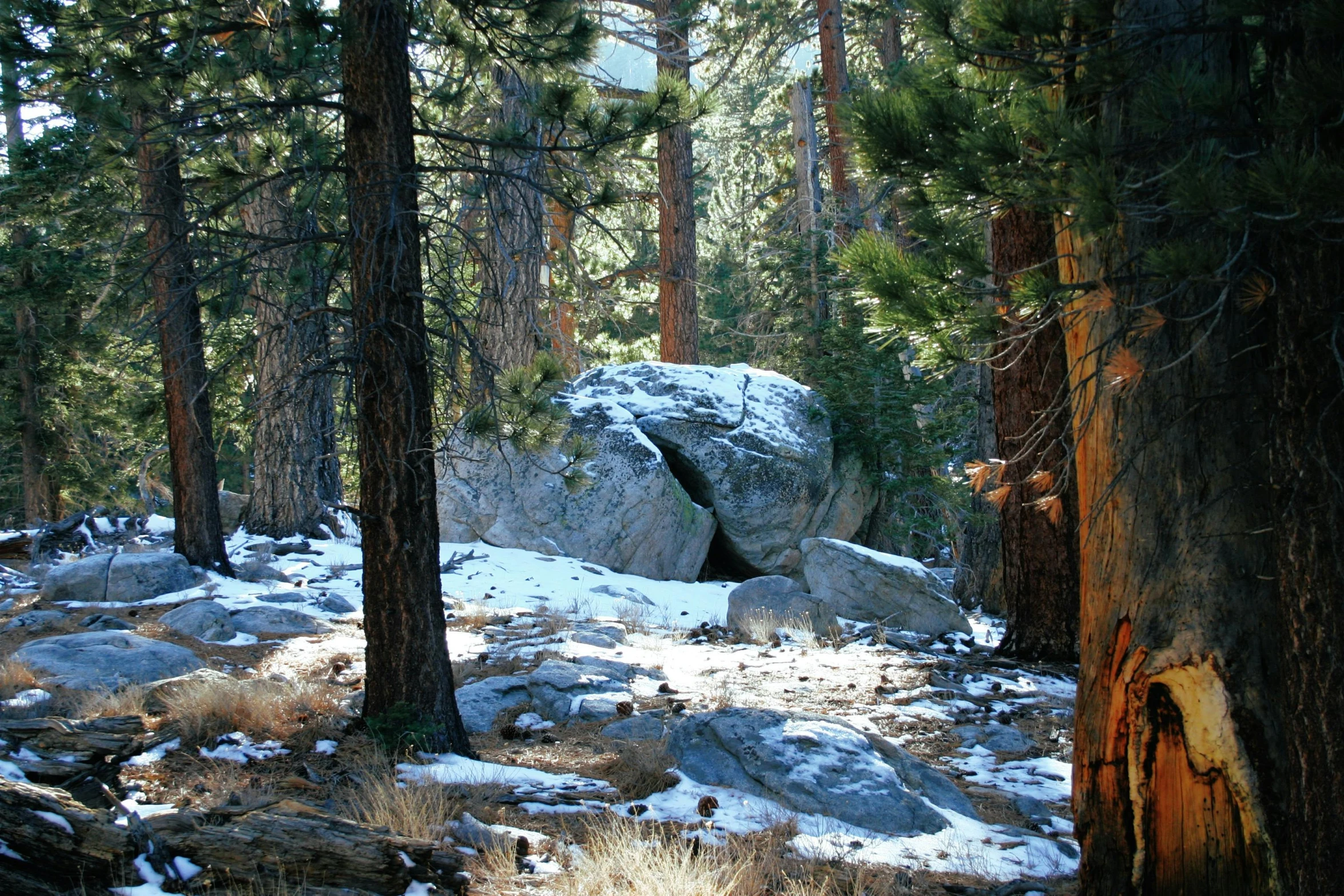 a large rock in the middle of a forest, a photo, snow on trees and ground, big bear lake california, ancient”