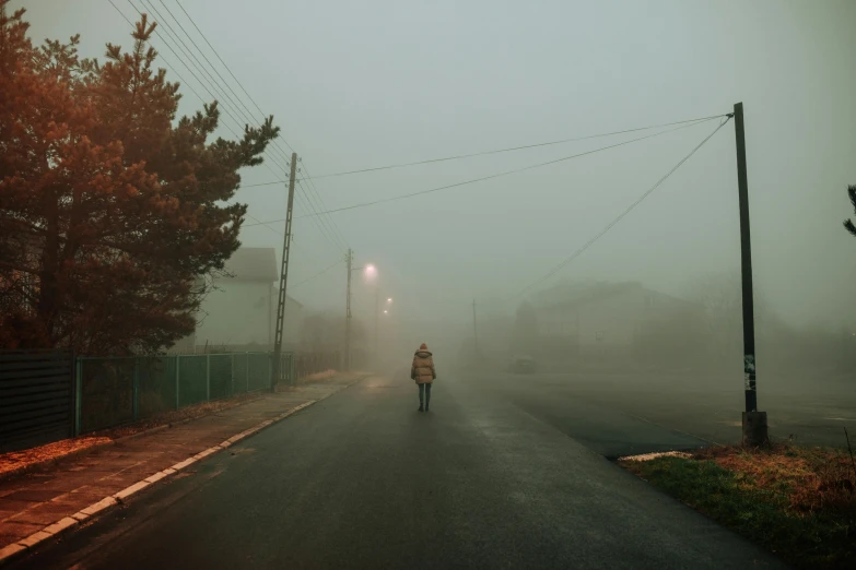 a person riding a bike down a foggy street, a picture, inspired by Elsa Bleda, unsplash contest winner, romanticism, standing in a township street, azamat khairov, silent hill landscape, erwin olaf