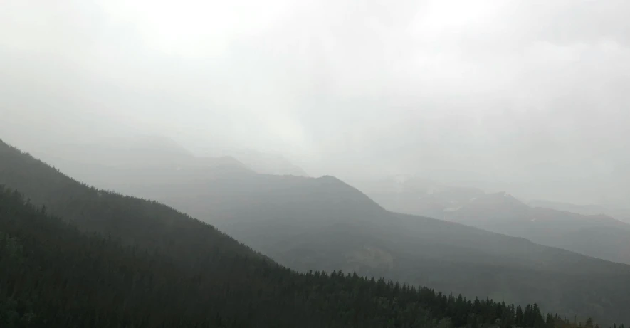 a herd of cattle standing on top of a lush green hillside, an album cover, unsplash, tonalism, under a gray foggy sky, low quality footage, colorado mountains, panorama distant view