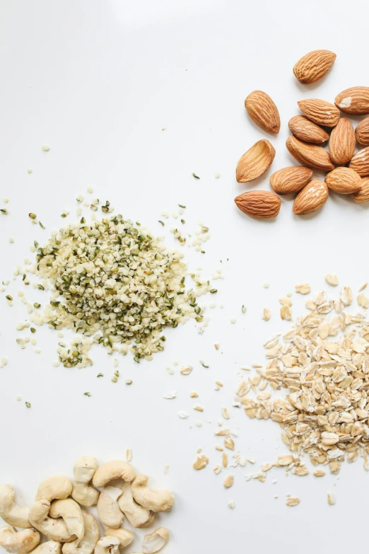 a variety of nuts and seeds on a white surface, trending on pexels, hemp, shredded, illustration”, mayo