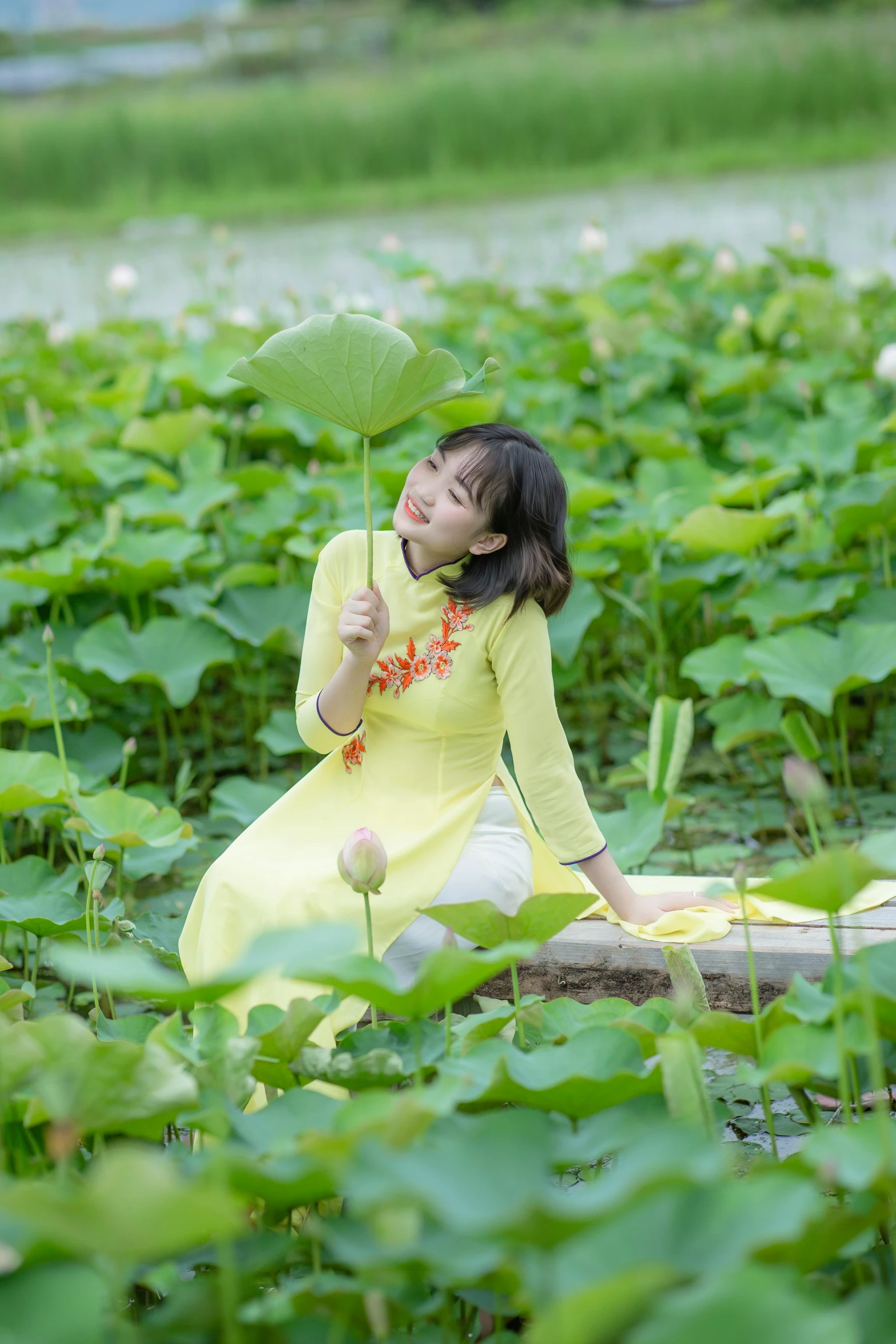 a woman in a yellow dress sitting on a log, a picture, inspired by Cui Bai, green lily pads, 8 k ), cotton, ao dai