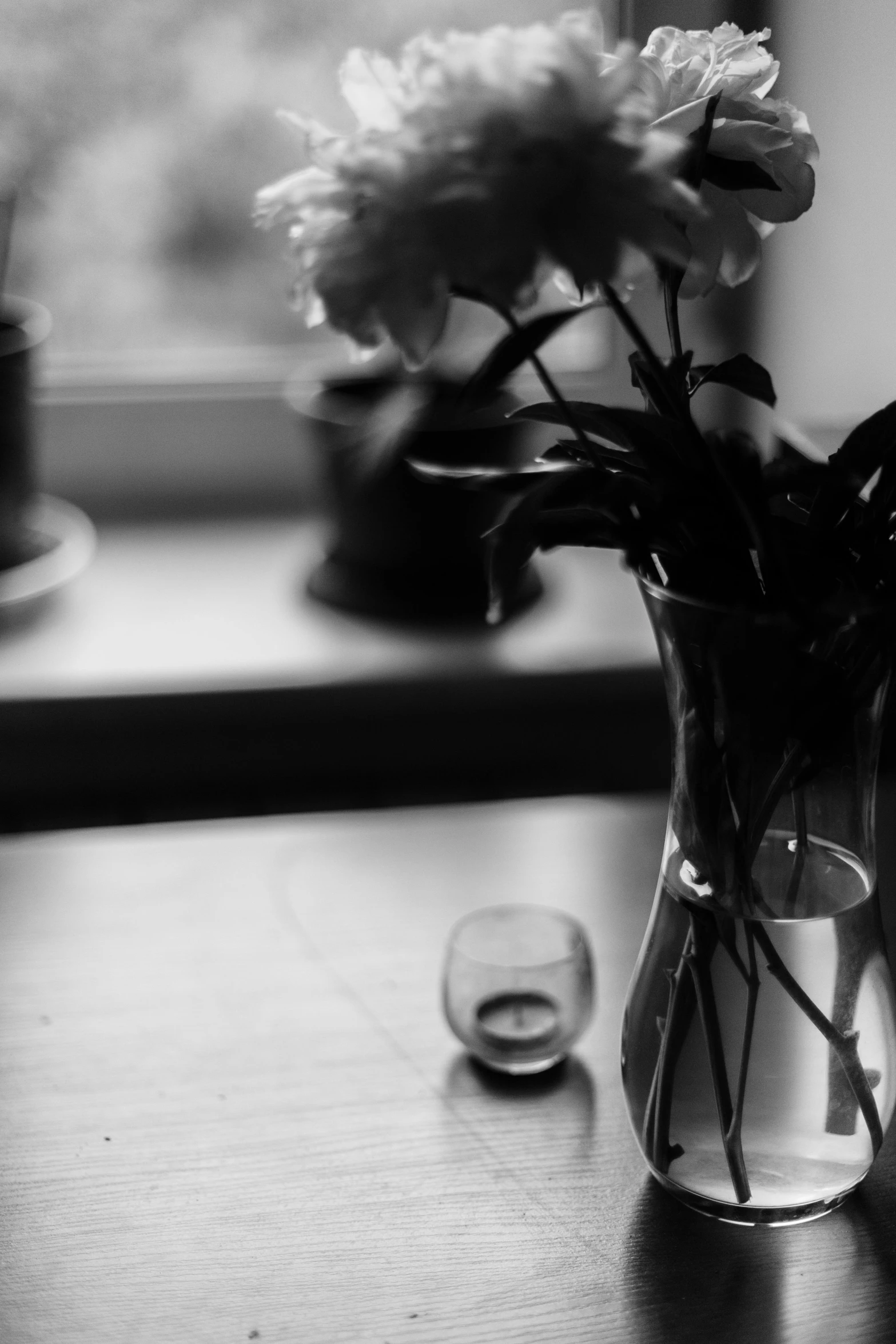 a vase filled with flowers sitting on top of a wooden table, a black and white photo, unsplash, vanitas, soft light from the window, ((portrait)), black roses, evening mood