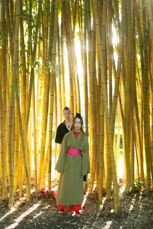 a man and a woman standing in front of a bamboo forest, inspired by Kanō Shōsenin, renaissance, shot at golden hour, floating robes, himeji rivendell garden of eden, staff