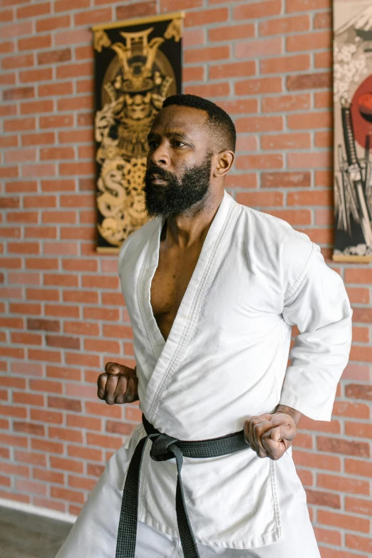 a man standing in front of a brick wall, inspired by Kanō Shōsenin, happening, white belt, atiba jefferson, bearded and built, profile image