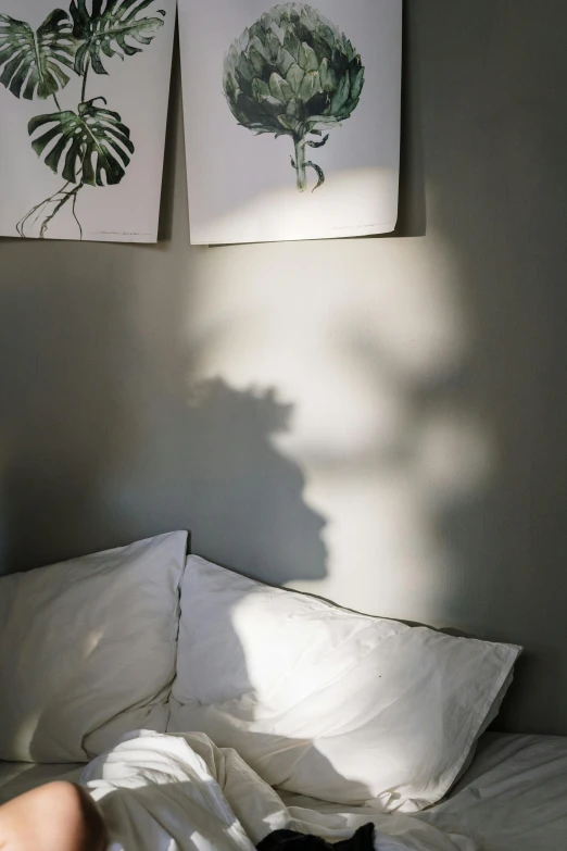 a black cat laying on top of a bed, inspired by André Kertész, trending on unsplash, light and space, trees cast shadows on the wall, soft light - n 9, shadow art, single light