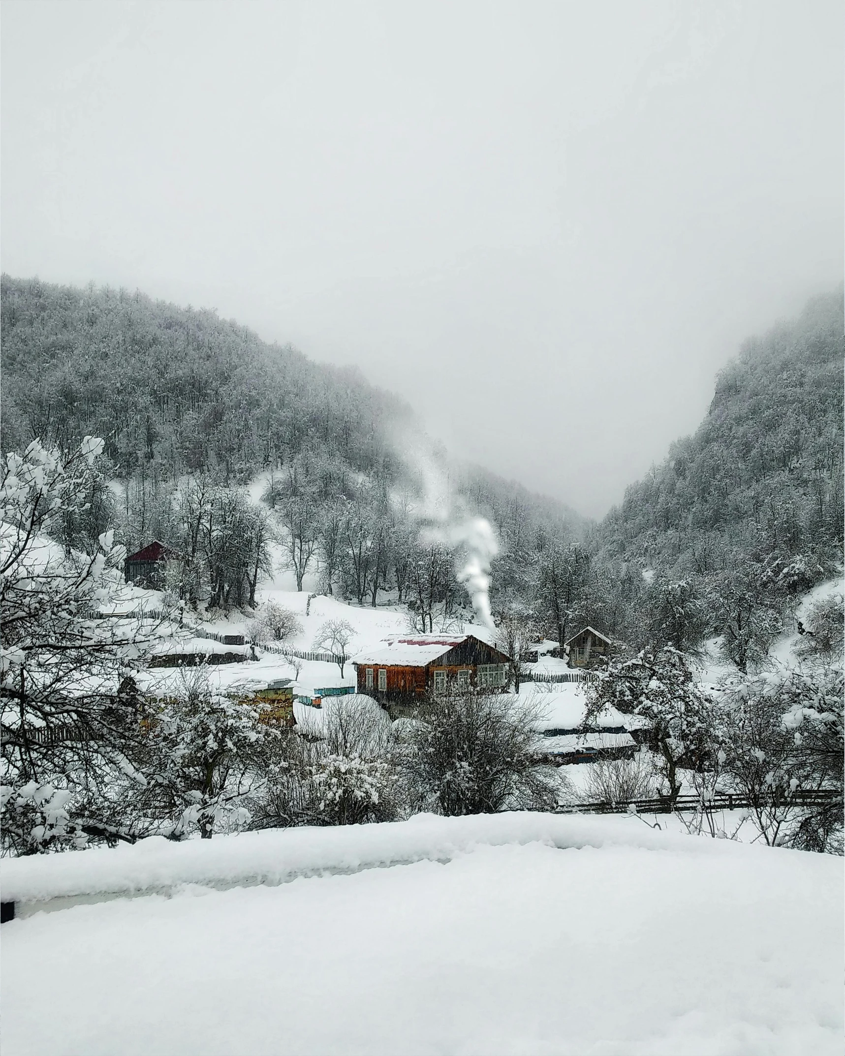 a red fire hydrant sitting in the middle of a snow covered field, by Muggur, pexels contest winner, les nabis, log houses built on hills, thumbnail, bosnian, gray fog