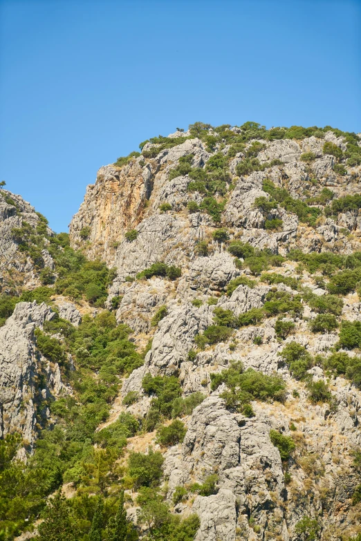 a group of sheep standing on top of a lush green hillside, les nabis, rock climbing, byzantine, zoomed in, photo taken from a boat