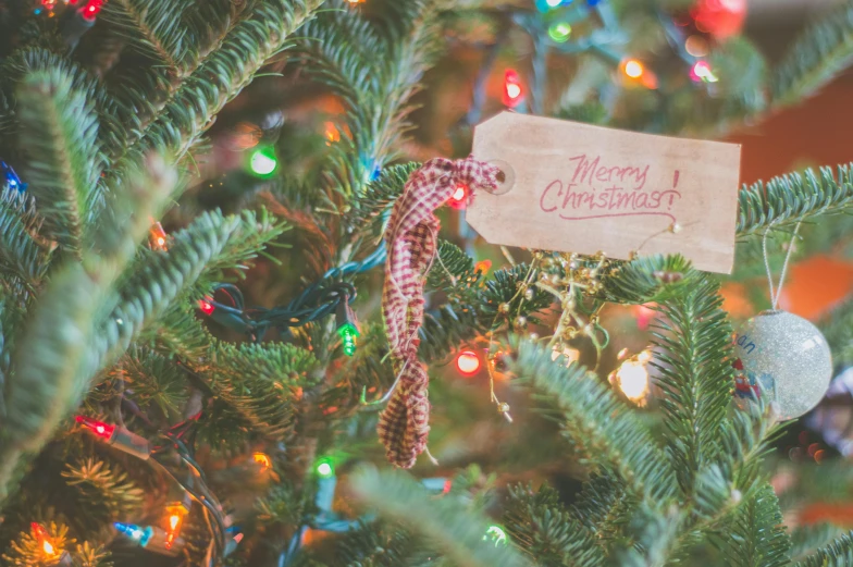 a christmas tree with a sign attached to it, pexels, organic ornament, firefly lights, tag, vintage color