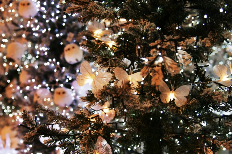 a close up of a christmas tree with lights, pexels, hurufiyya, butterflies, ghostly white trees, 🌸 🌼 💮, festive atmosphere