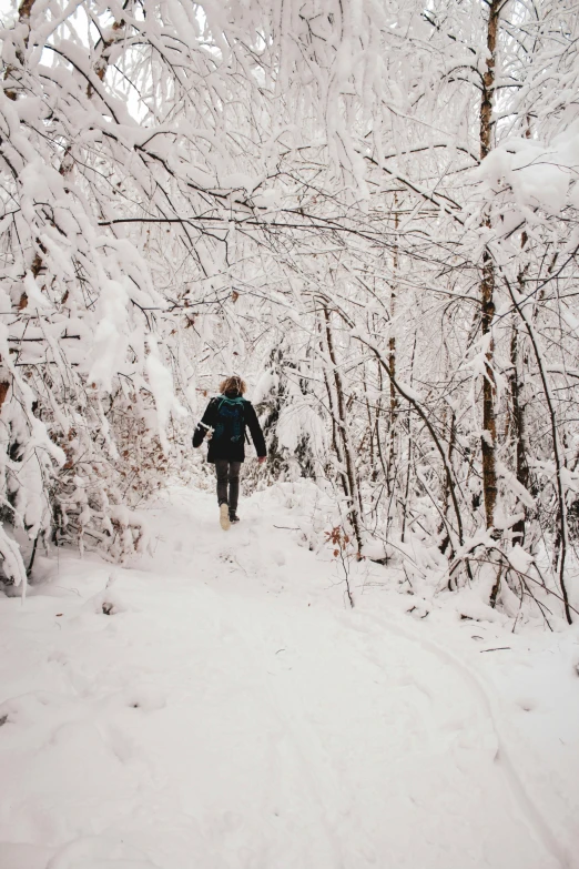 a person walking through a snow covered forest, new hampshire, covered!, instagram picture, fan favorite