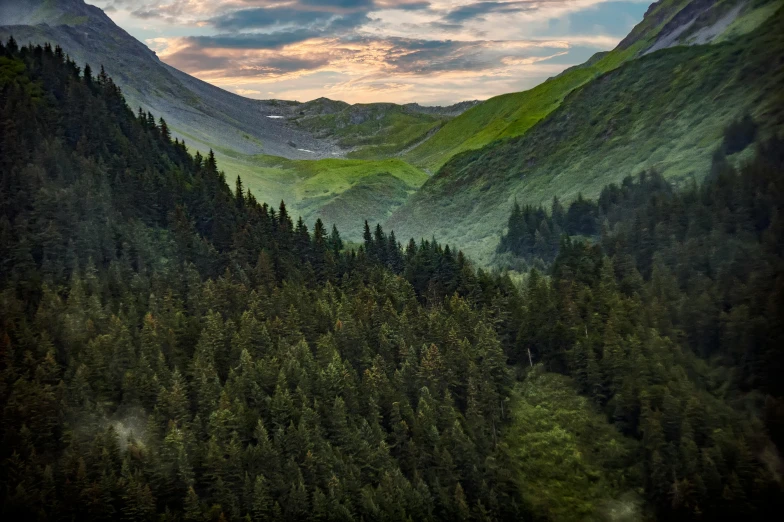 a scenic view of a valley in the mountains, a matte painting, by Cedric Peyravernay, pexels contest winner, irish forest, in gentle green dawn light, wide angle landscape photography, summer evening