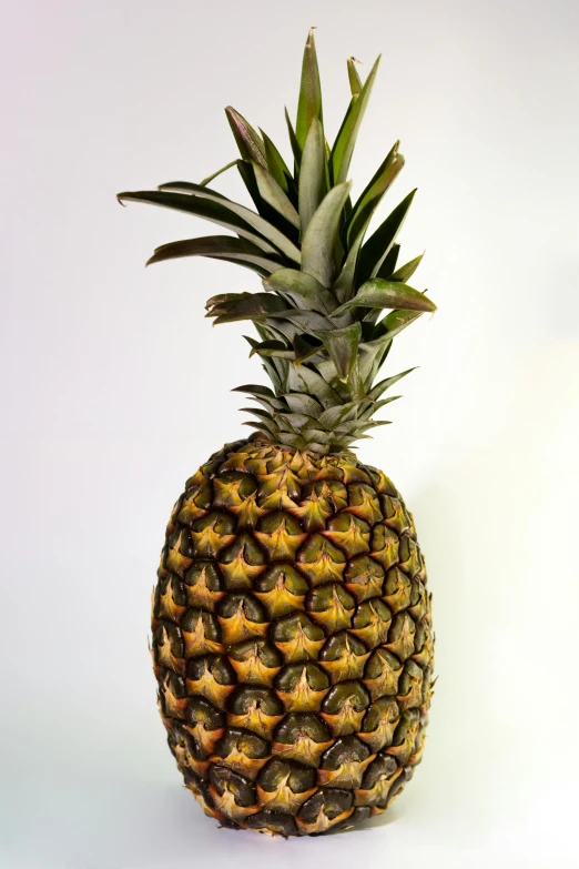 a close up of a pineapple on a white surface, in 2 0 1 2, tall, sitting, indoor picture