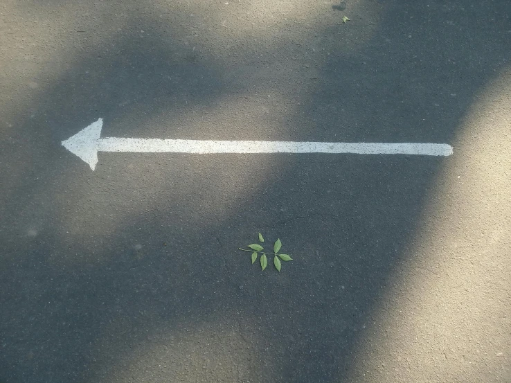 a white arrow painted on the side of a road, unsplash, postminimalism, microchip leaves, ignant, sprouting, low quality photo