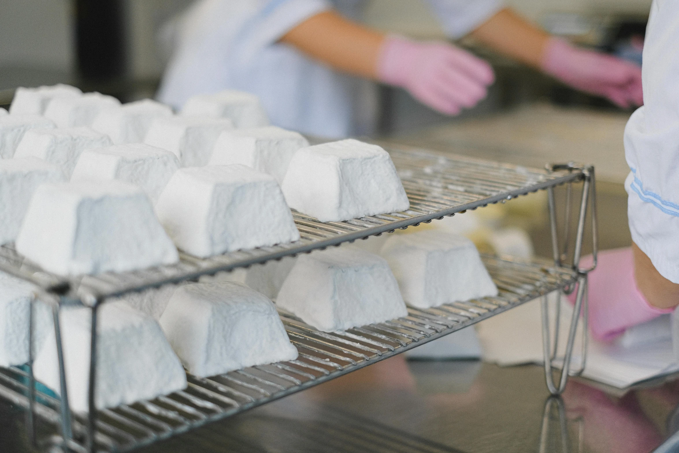 a bunch of marshmallows sitting on top of a metal rack, in a lab, profile image, cheeses, linen