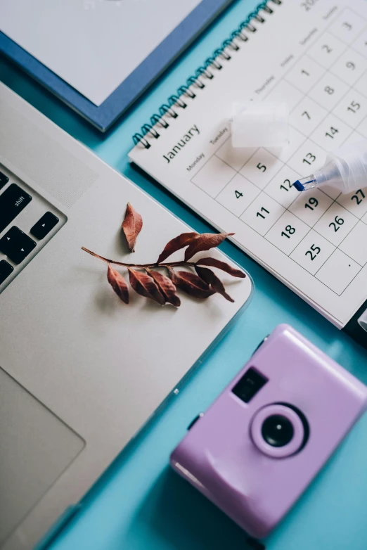 a purple camera sitting on top of a desk next to a laptop, a picture, trending on pexels, knolling, blue themed, autumnal, planning