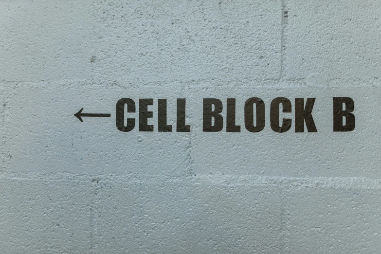 a close up of a sign on a wall, cell biology, blocks, arrow, walter black
