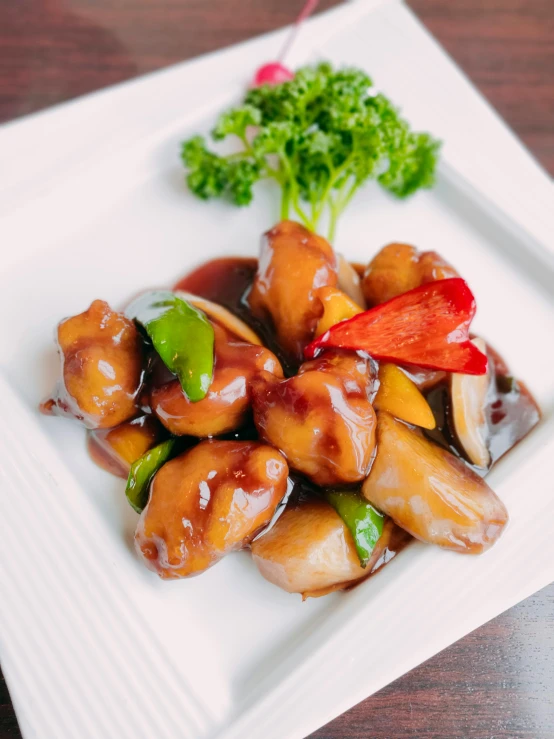 a white plate topped with meat and vegetables, dragon paw, brown resin, thumbnail, 王琛