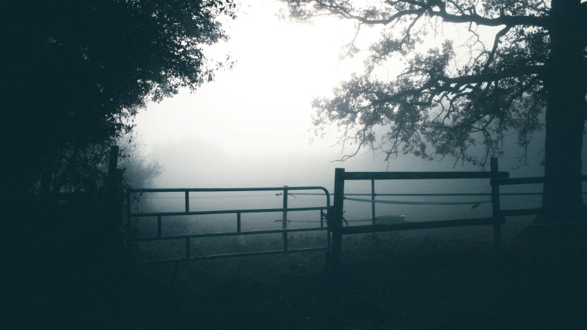 a bench sitting next to a tree on a foggy day, unsplash, old photo of a creepy landscape, fence, ((mist)), countryside