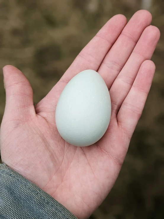 a person holding an egg in their hand, by Ben Zoeller, unsplash, with celadon glaze, bird's - eye view, the photo shows a large, soft white rubber