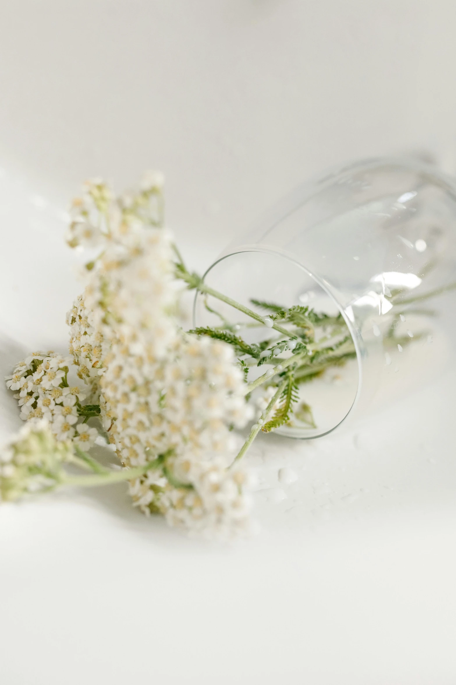 a couple of wine glasses sitting on top of a table, white flower crown, detail, porcelain organic, light scatter