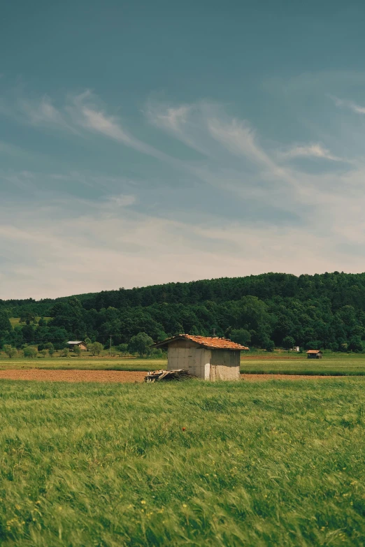 a field of green grass with a house in the distance, a picture, pexels contest winner, shed roof, sunfaded, transylvania, today\'s featured photograph 4k