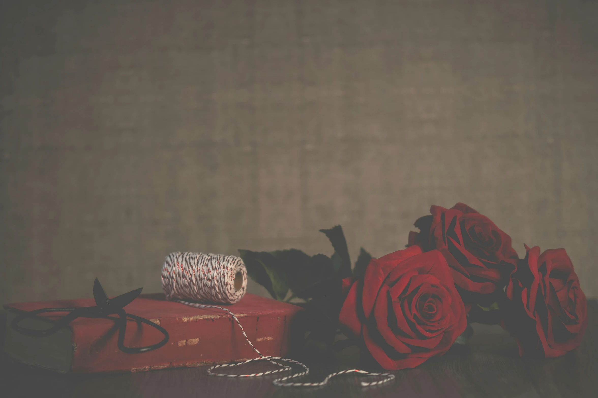 a bunch of red roses sitting on top of a table, an album cover, pexels contest winner, romanticism, threads, ribbon, grainy, books and flowers