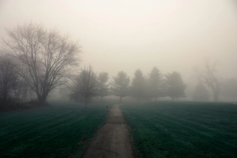 a person walking down a path on a foggy day, inspired by Elsa Bleda, a park, landscape photograph, eerie sky, 2022 photograph