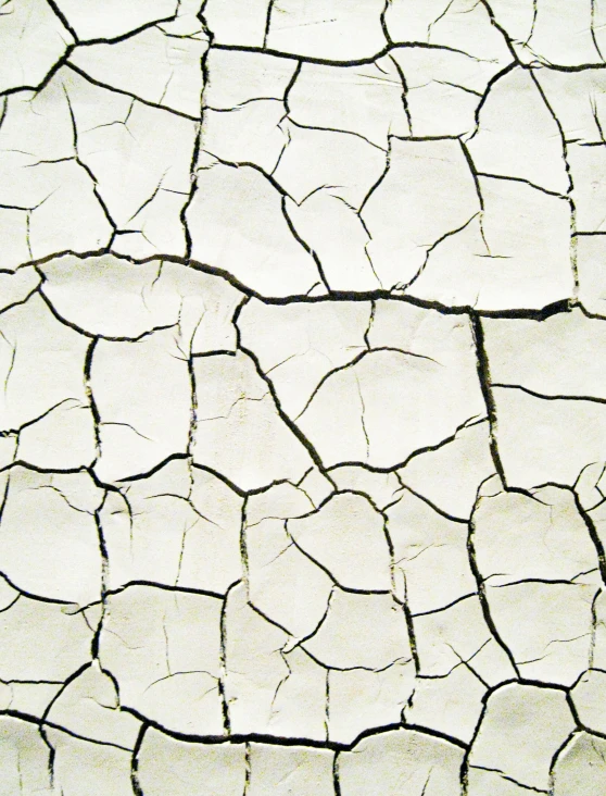 a fire hydrant sitting on top of a cracked floor, pale white detailed reptile skin, nitrogen-rich soil, /r/earthporn, background image