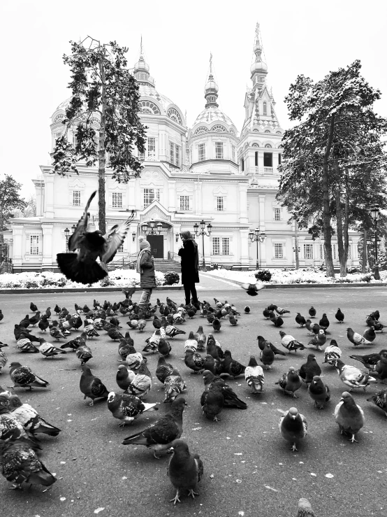 a black and white photo of a flock of pigeons, a black and white photo, by Alexander Litovchenko, cinematic. by leng jun, church in the background, anna nikonova aka newmilky, color splash