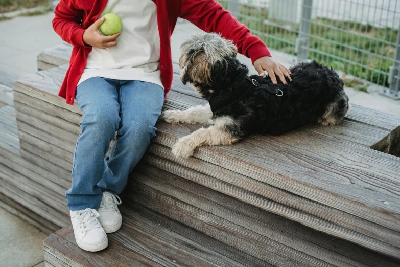 a woman sitting on a bench with a dog and an apple, by Julia Pishtar, pexels contest winner, kids, holding paws, sitting on top a table, holding a ball