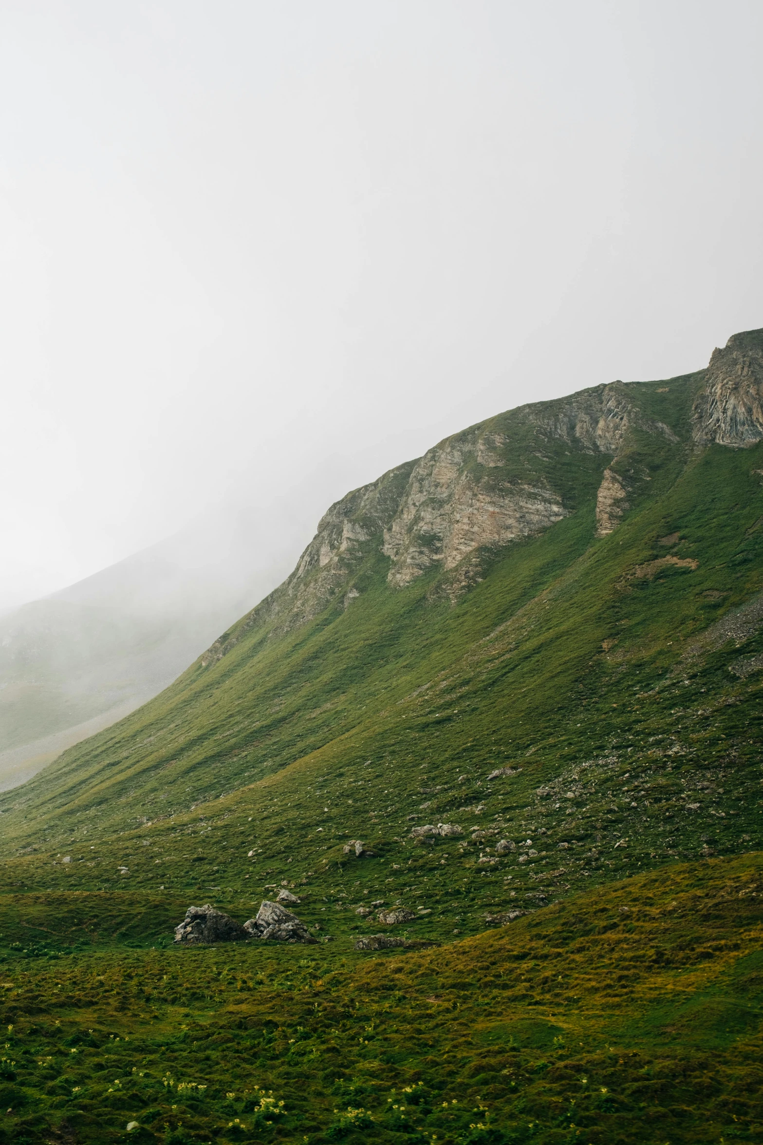 a herd of sheep grazing on top of a lush green hillside, by Muggur, les nabis, atmospheric fog, alessio albi, peaks, grey