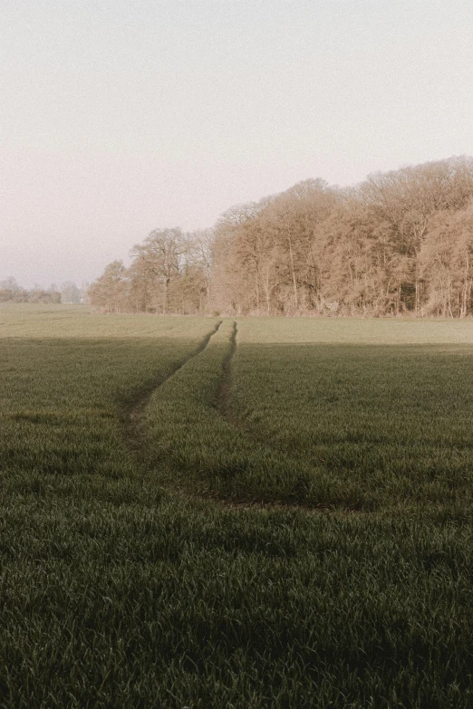 a person riding a horse across a lush green field, an album cover, inspired by Gerard Soest, unsplash contest winner, sparse bare trees, the netherlands, large path, empty wheat field