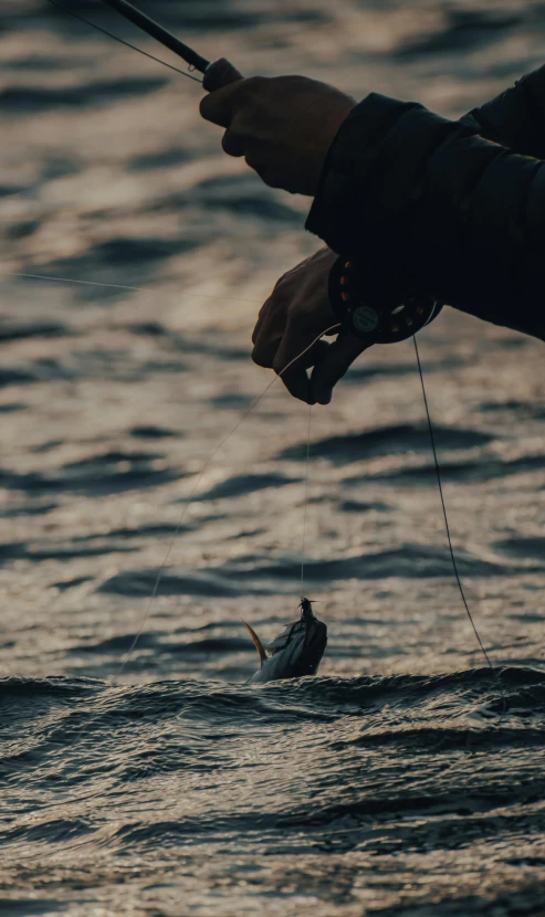 a person holding a fishing rod in a body of water, pulling strings, in the evening, zoomed out, hanging rope