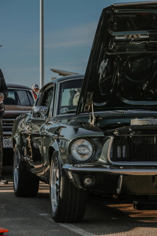 a group of cars parked next to each other in a parking lot, a portrait, by Matt Cavotta, pexels contest winner, green 1967 ford mustang gt, black, customers, profile image