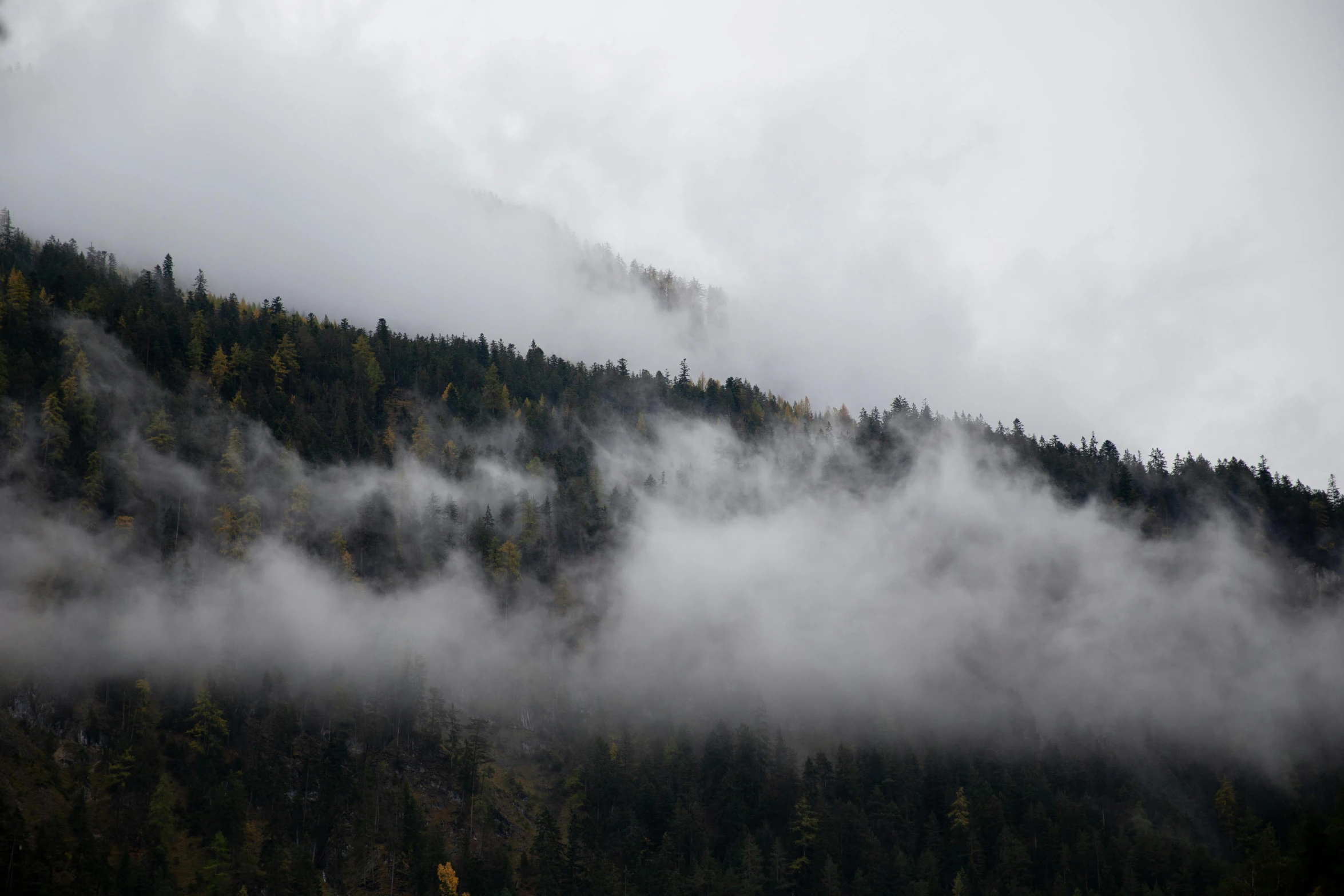 a boat floating on top of a lake next to a forest, by Jessie Algie, pexels contest winner, romanticism, covered in clouds, grey, whistler, over the tree tops