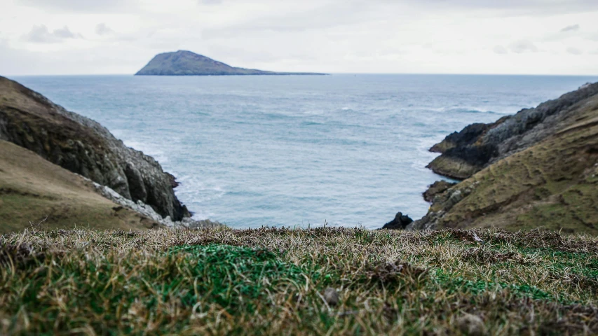 a couple of sheep standing on top of a lush green hillside, inspired by Mór Than, unsplash, happening, rocky seashore, an island, grey, distant view